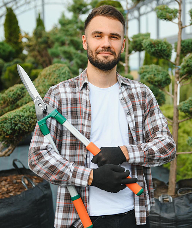 About Mahashakti Pest Control Services