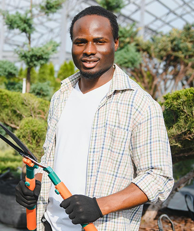 About Mahashakti Pest Control Services