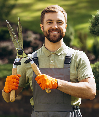 About Mahashakti Pest Control Services